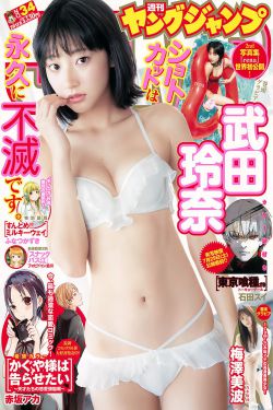 尘封十三载电视剧免费观看
